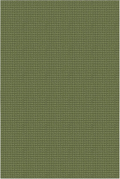 EARTHALL Woven Area Rug 3x5 Ft Washable Rugs for Entryway Braided Non Slip Rubber Backed Throw Rugs Door Mat Indoor Outdoor Entrance Cotton Carpet for Kitchen Foyer Front Door, Green