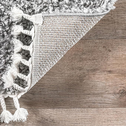 nuLOOM Neva Modern Tasseled Shag Area Rug, 7x9, Grey