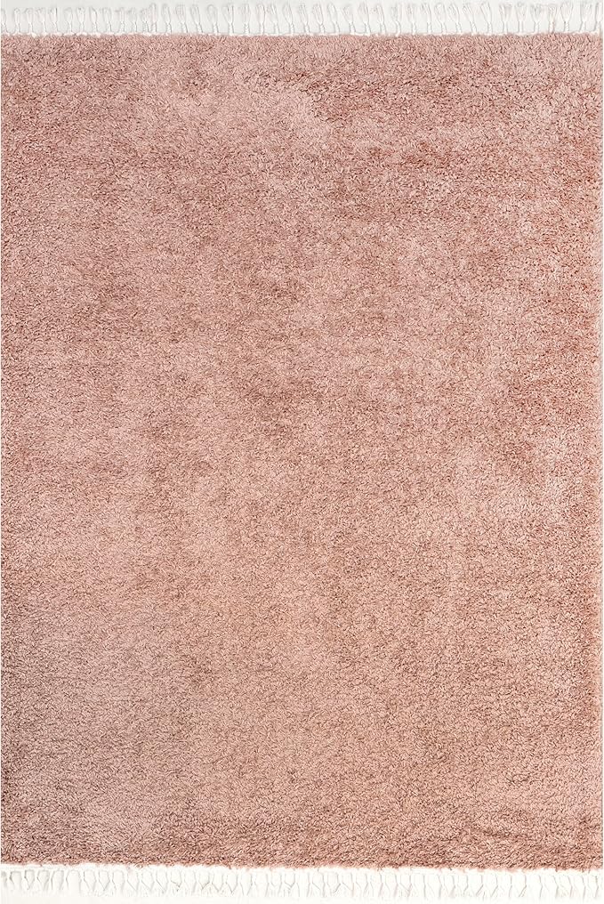 nuLOOM Neva Modern Tasseled Shag Area Rug, 3x5, Pink