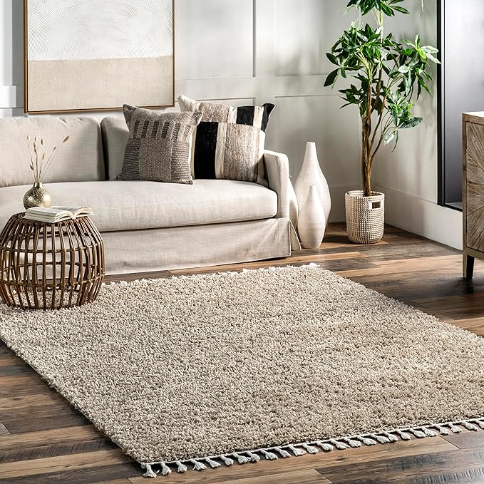 Nuloom Neva Beige/Ivory, 4' x 6', Modern, Shag, Tasseled, Soft and Cozy, High Traffic, Stain Resistant, Easy Clean, Durable Area Rug for Bedroom, Living Room, Dining Space, Den, Foyer, Entryway