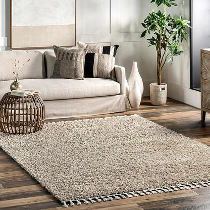Nuloom Neva Beige/Ivory, 4' x 6', Modern, Shag, Tasseled, Soft and Cozy, High Traffic, Stain Resistant, Easy Clean, Durable Area Rug for Bedroom, Living Room, Dining Space, Den, Foyer, Entryway