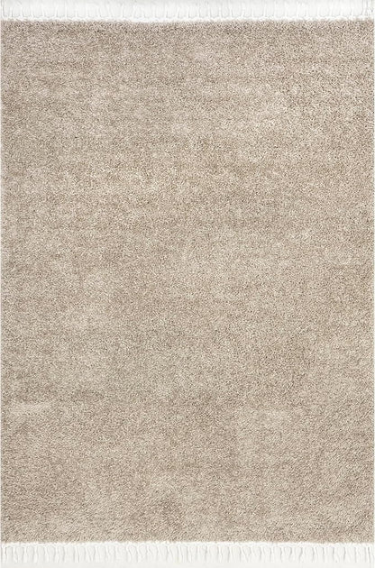 nuLOOM Neva Modern Tasseled Shag Accent Rug, 2x3, Beige