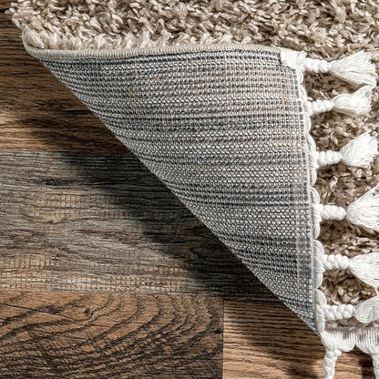 nuLOOM Neva Modern Tasseled Shag Accent Rug, 2x3, Beige