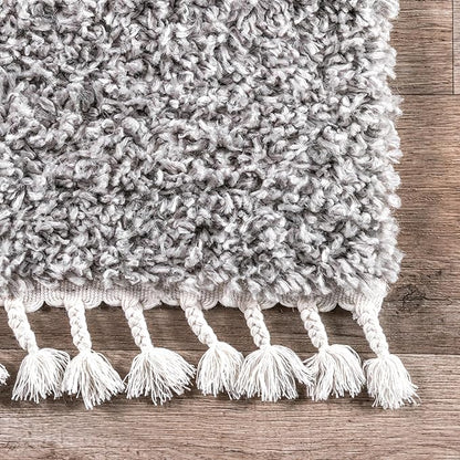 nuLOOM Neva Modern Tasseled Shag Accent Rug, 2x3, Grey
