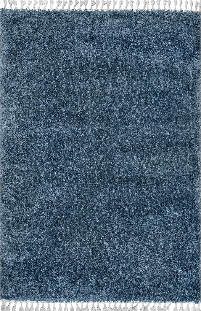 nuLOOM Neva Modern Tasseled Shag Accent Rug, 2' x 3', Blue, Rectangular, 1.55" Thick